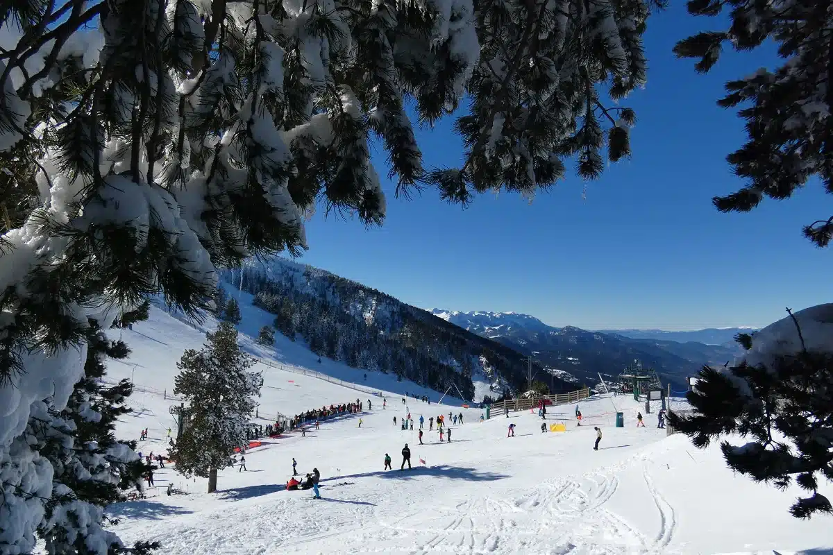 Masella temporada 2025-2026