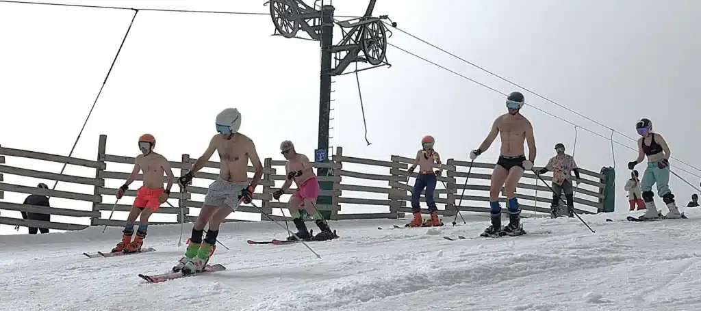 Masella
