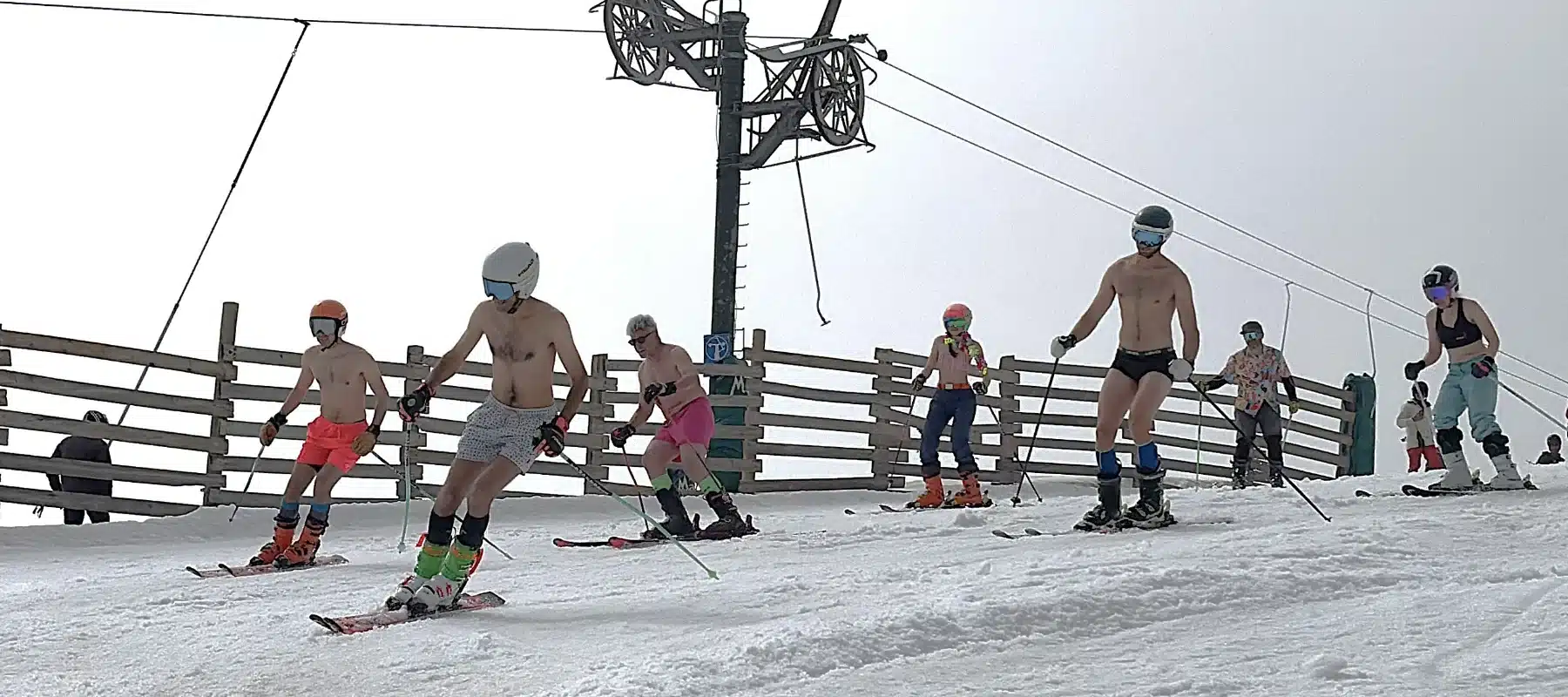 Masella