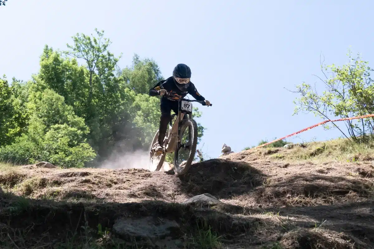 Cerler BTT 
