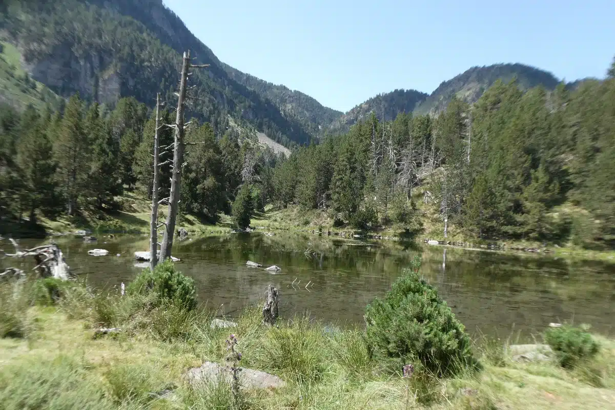 El Lac de la Basseta,