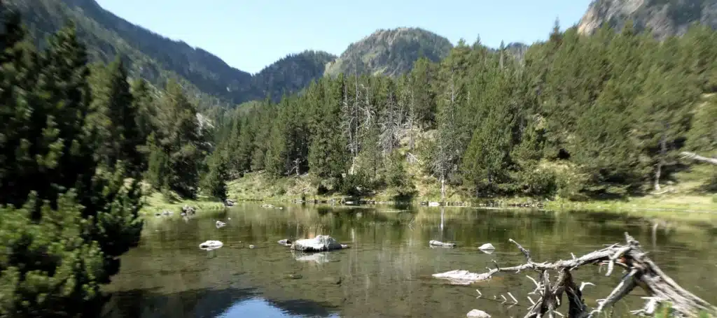 El Lac de la Basseta Les Angles