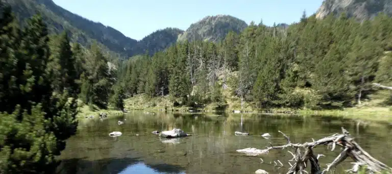 El Lac de la Basseta Les Angles