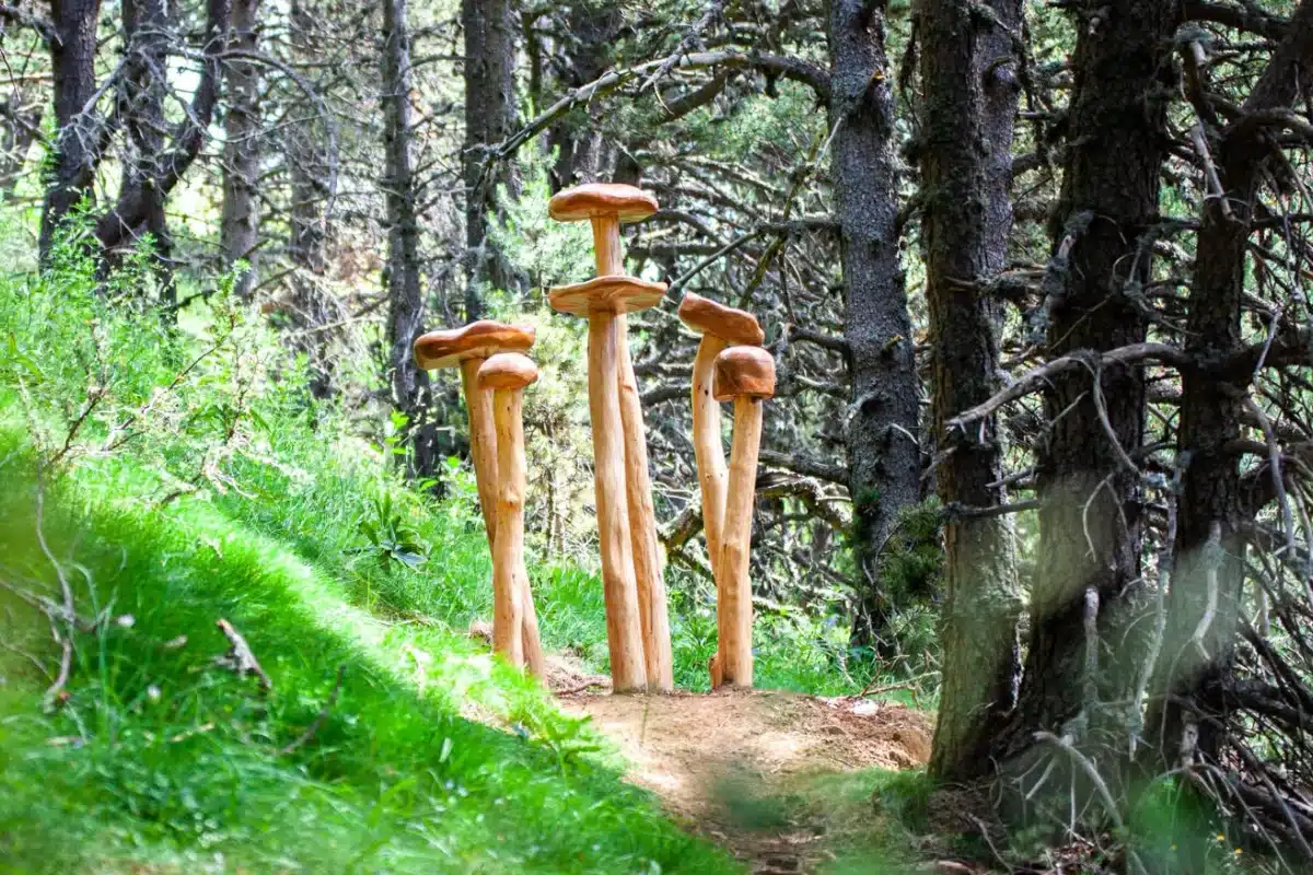 Andorra bosques