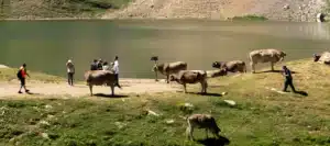 Cerler y Panticosa