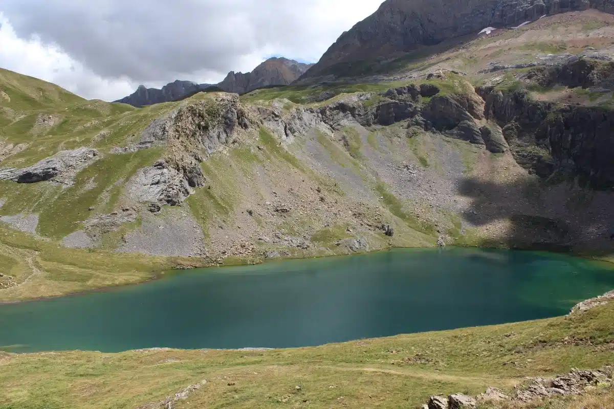 Ibon de Asnos en Panticosa_n