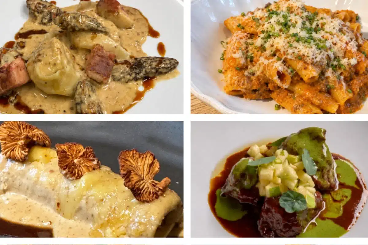 Platod Andorra Taste